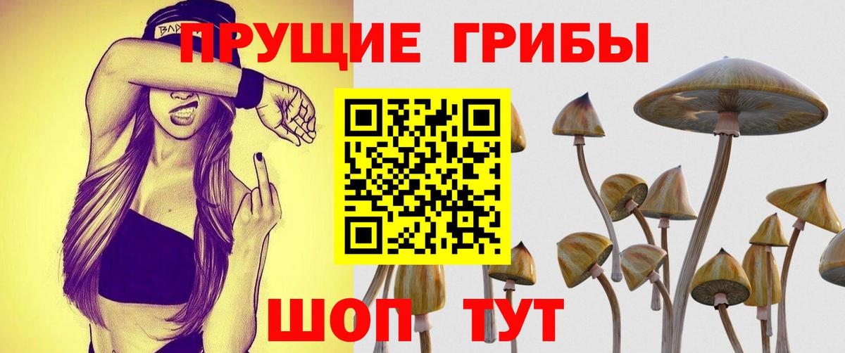 Галлюциногенные грибы прущие грибы Гай