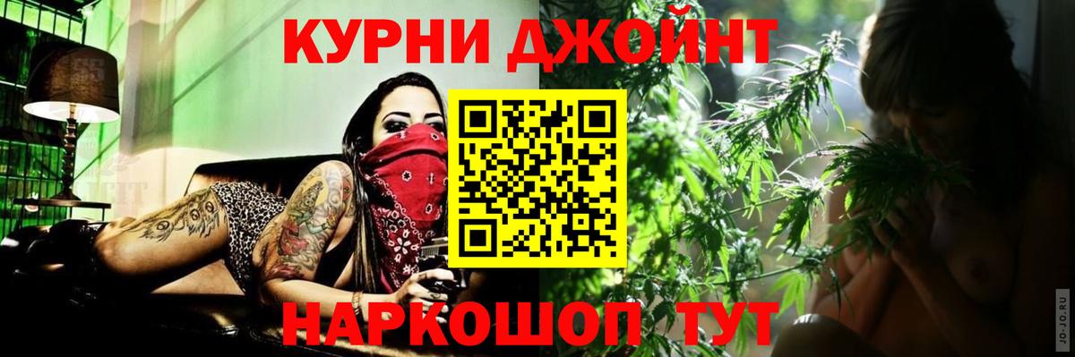 МАРИХУАНА сатива Гай